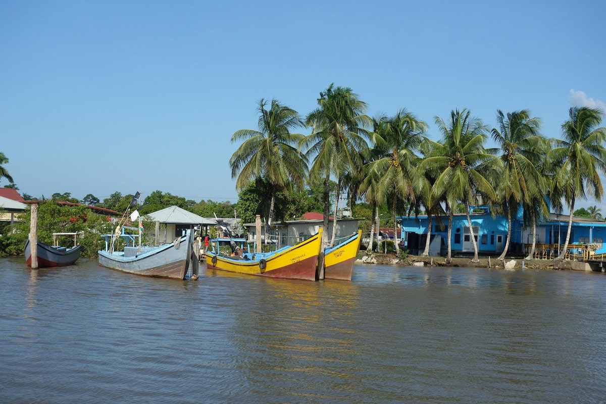 Suriname image